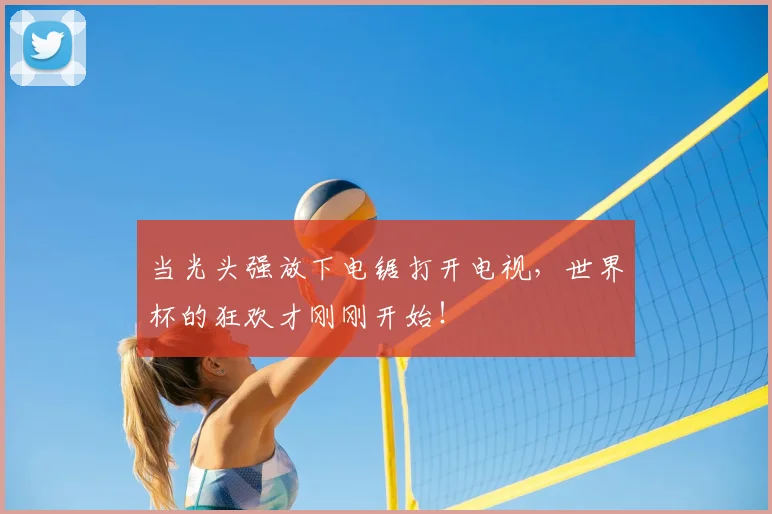 当光头强放下电锯打开电视，世界杯的狂欢才刚刚开始！
