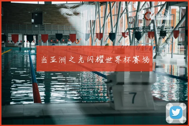 当亚洲之光闪耀世界杯赛场