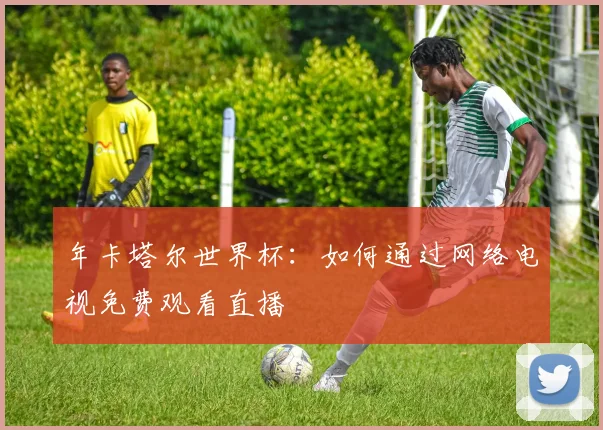 年卡塔尔世界杯：如何通过网络电视免费观看直播
