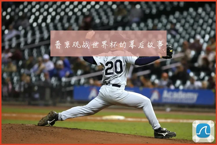 普京观战世界杯的幕后故事